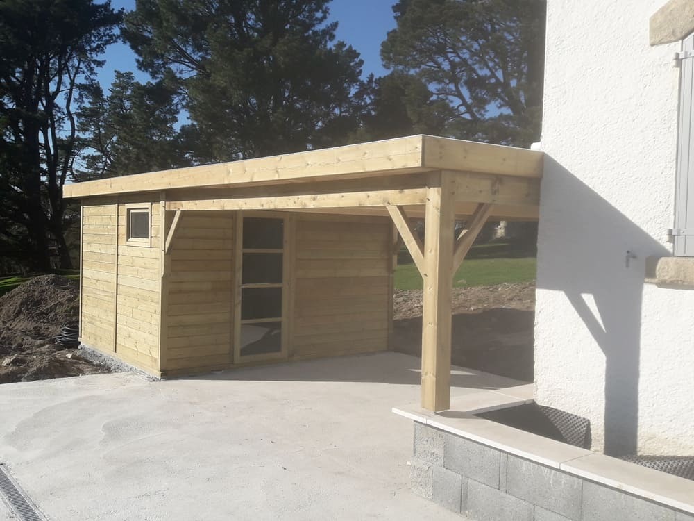 pool-house piscine bois trait 24m 3m17x3m11+auvent 4m56