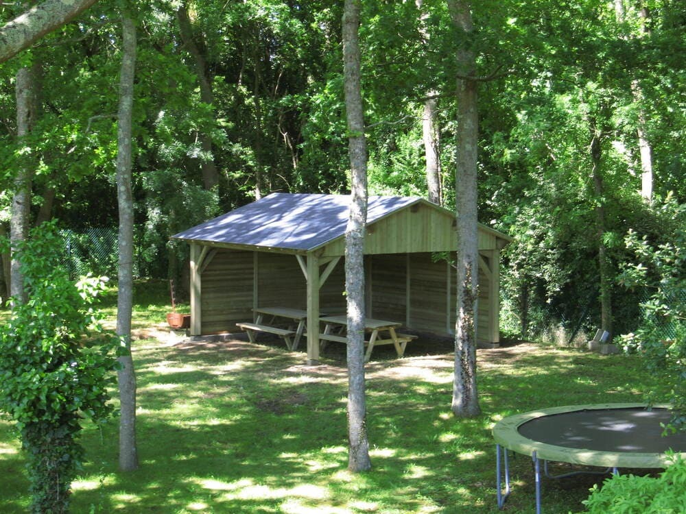 preau 5m00x5m00 bois trait autoclave